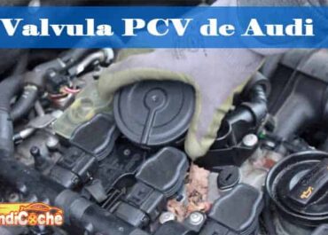 Valvula PCV Audi 01