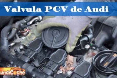 Valvula PCV Audi 01