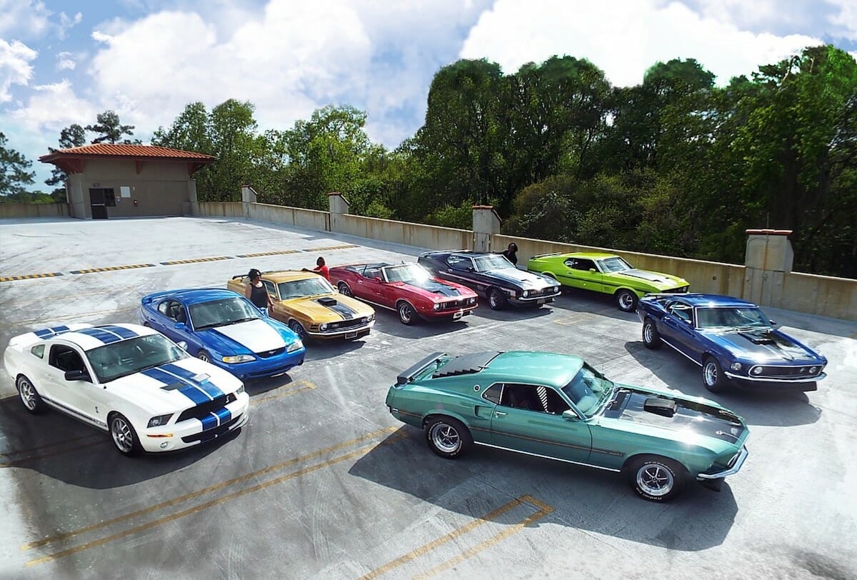 Speed-Familia-Mustangs