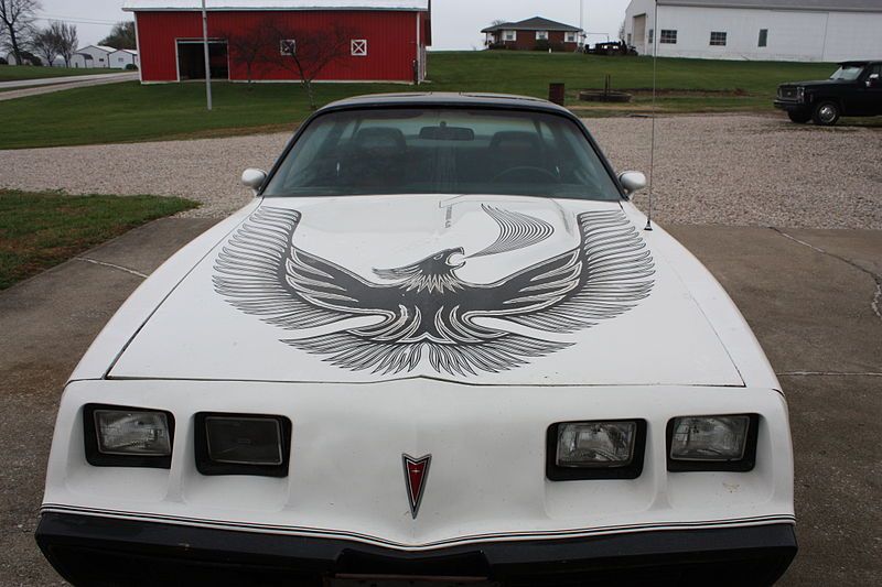 1981 Pontiac_Turbo_Trans_Am 