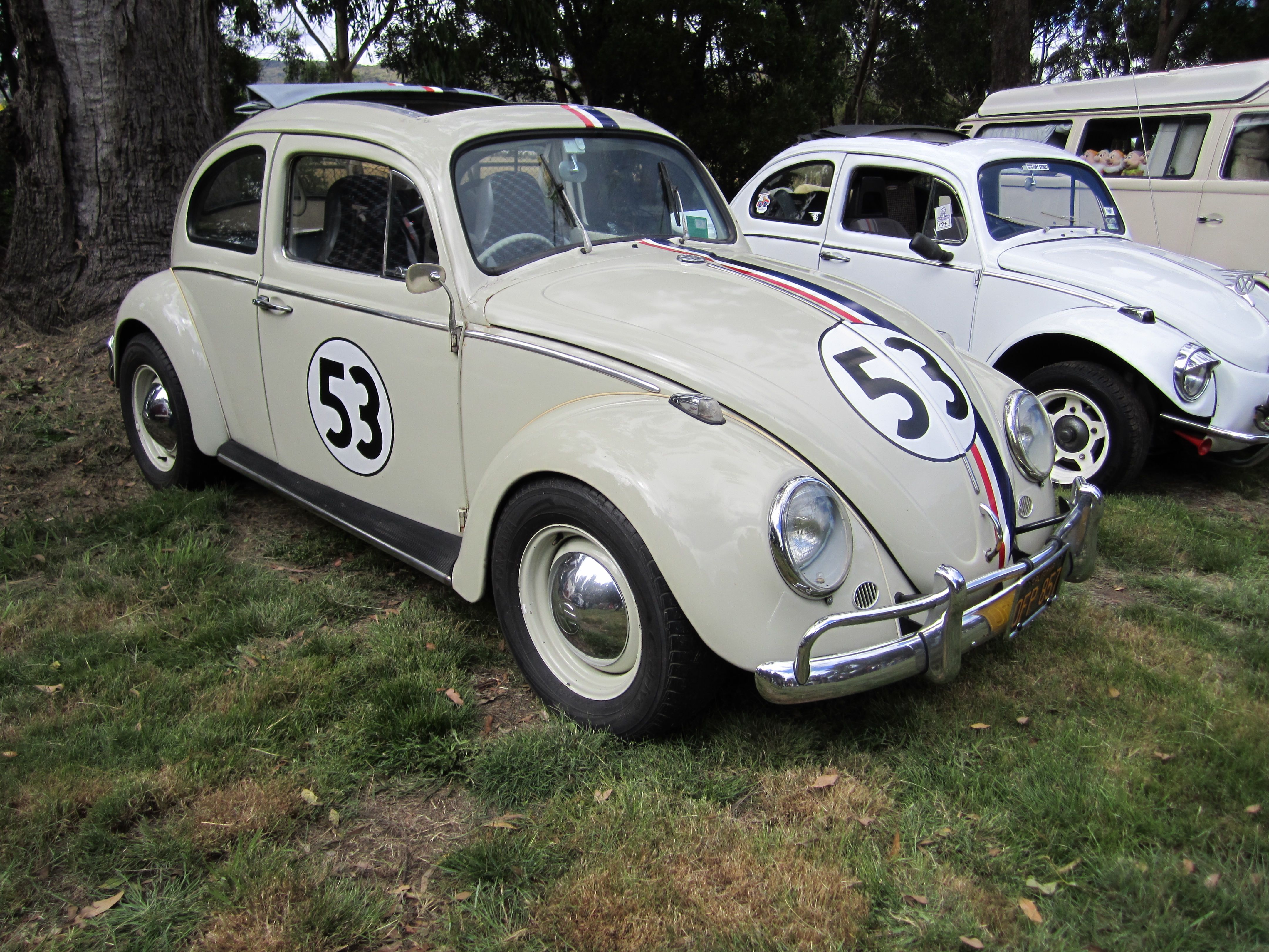 1963_Volkswagen_Beetle_(Herbie)