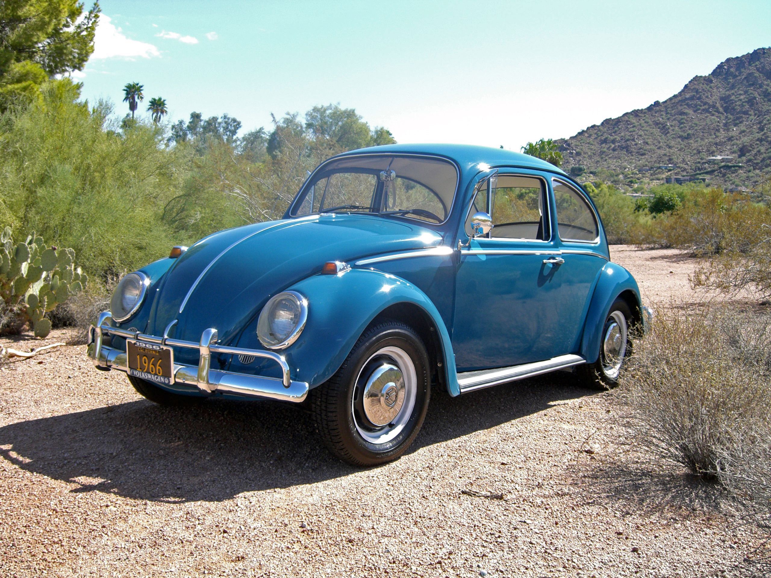 1966_Volkswagen_Beetle_(48909181116)